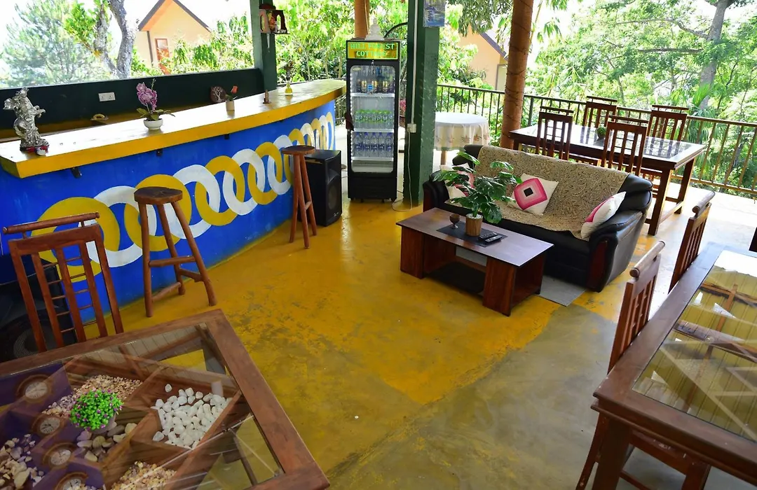 Hill Forest Cottage-1